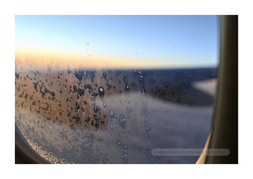 Winter evening flight. 2013