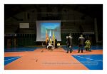 Sporto alėjos vizijos pristatymo renginys Kauno sporto halėje. 2012 02 24